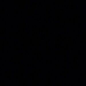 Meet your Posher, Celine